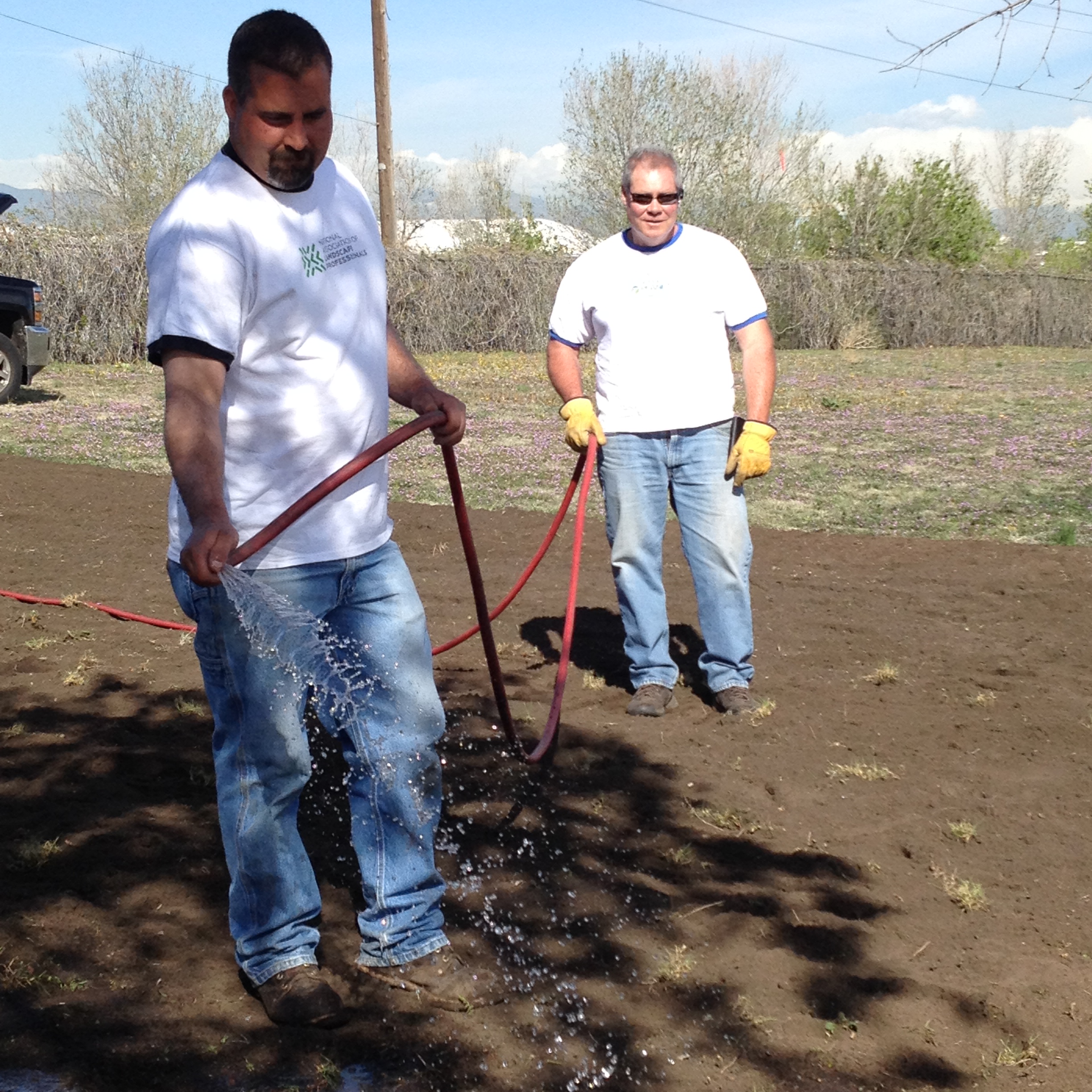 Day of Service 2015 Colorado Arborists and Lawn Care Professionals